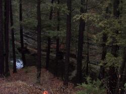 Wisconsin River view